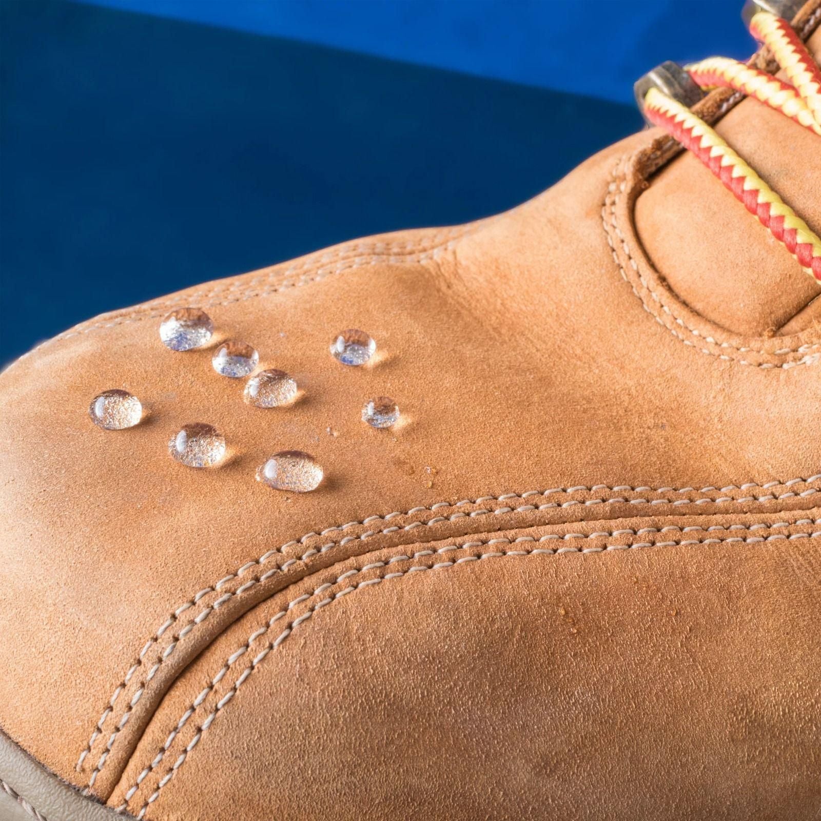 Prosheld Guardian Spray 100ML (Pack of 2)