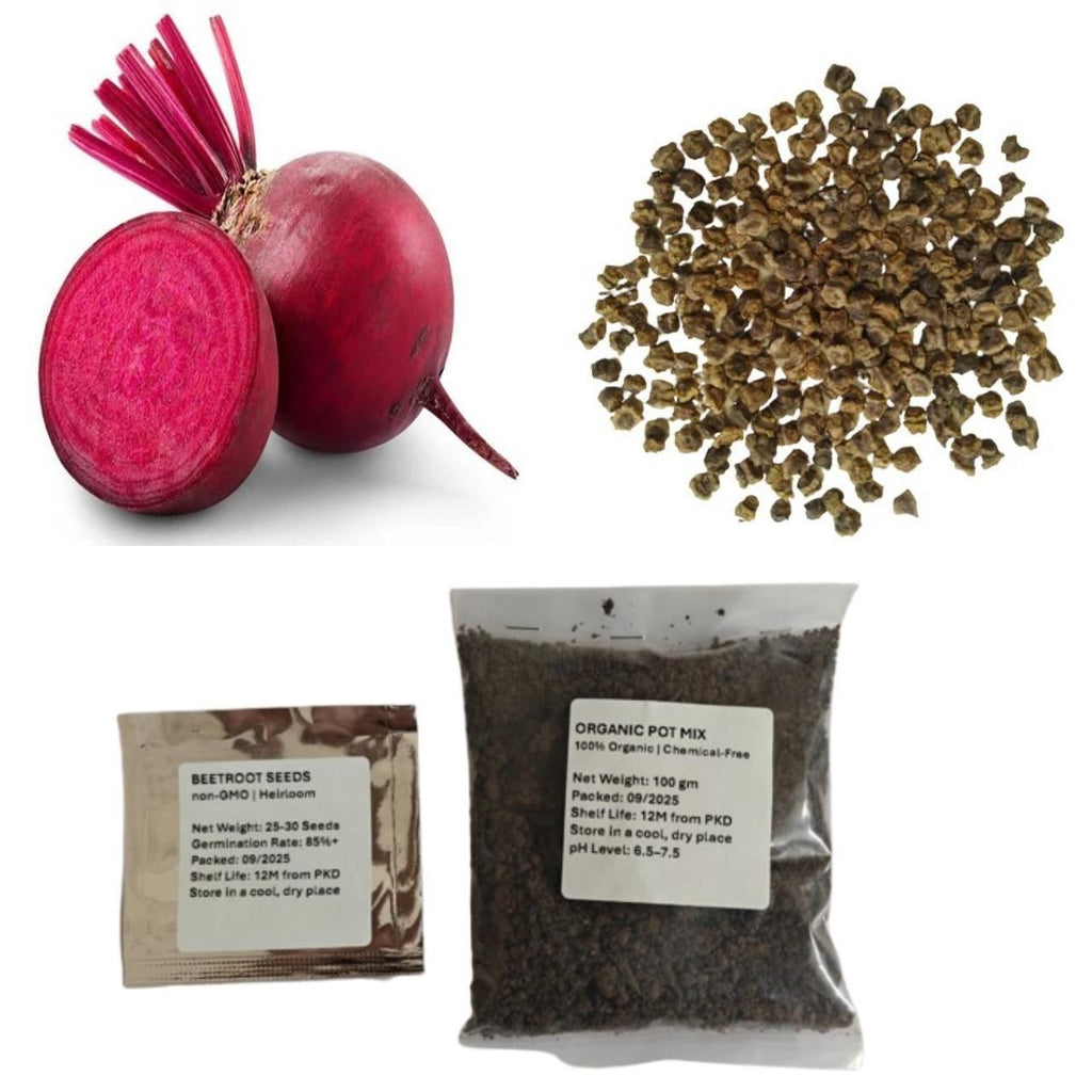 Beetroot Seeds (Free Organic Pot Mix 100 gm)