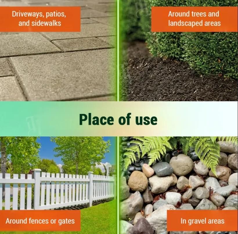 Dual-Action Weed Killer - Max Power Herbicide (Pack of 2)