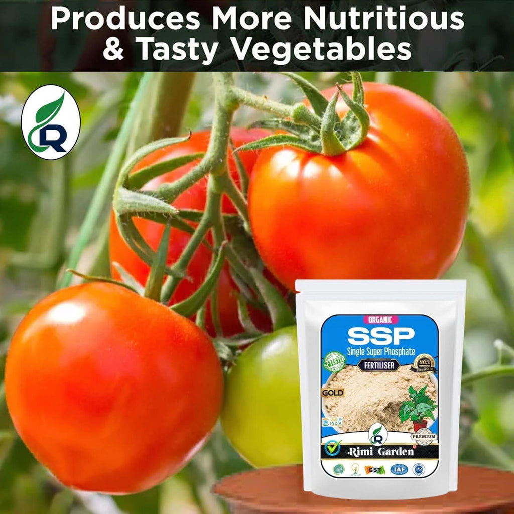 Single Super Phosphate, Essential Organic Fertilizer For Plant Growth (350 gm)